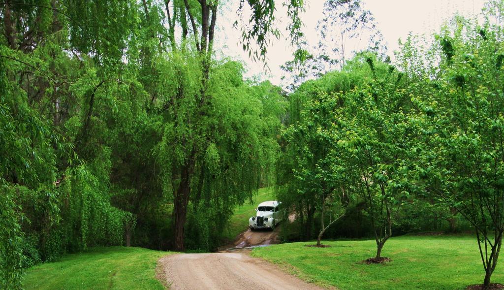 הוילה Cedars Mount View (Adults Only) מראה חיצוני תמונה
